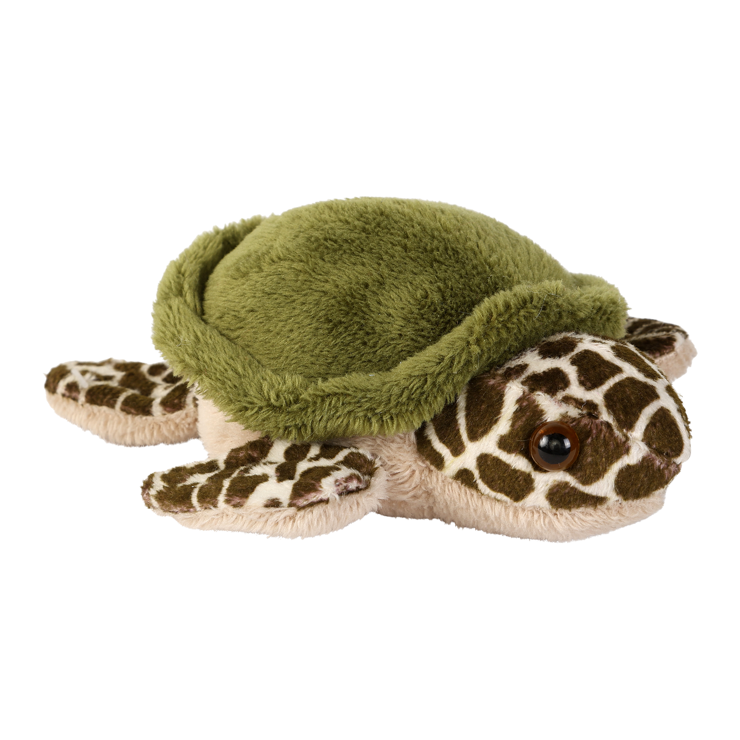 Turtle - 13824