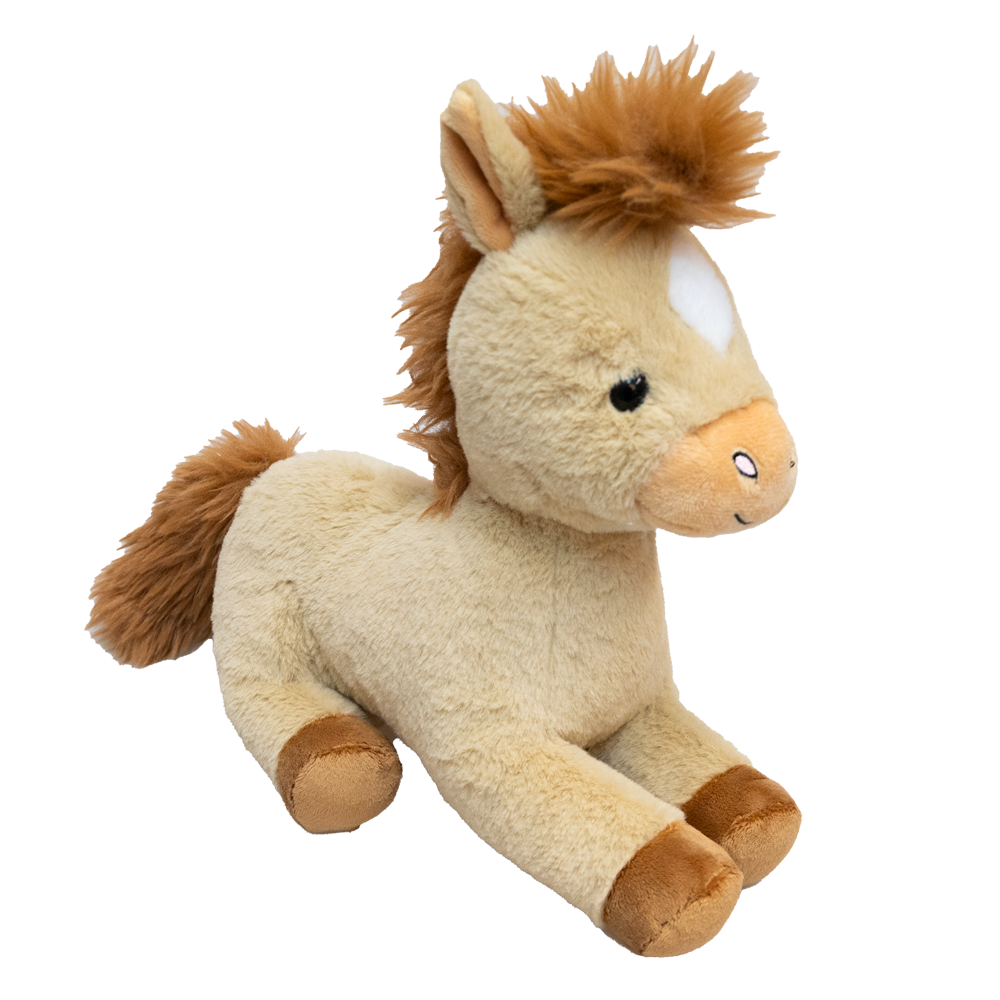 Pony 10