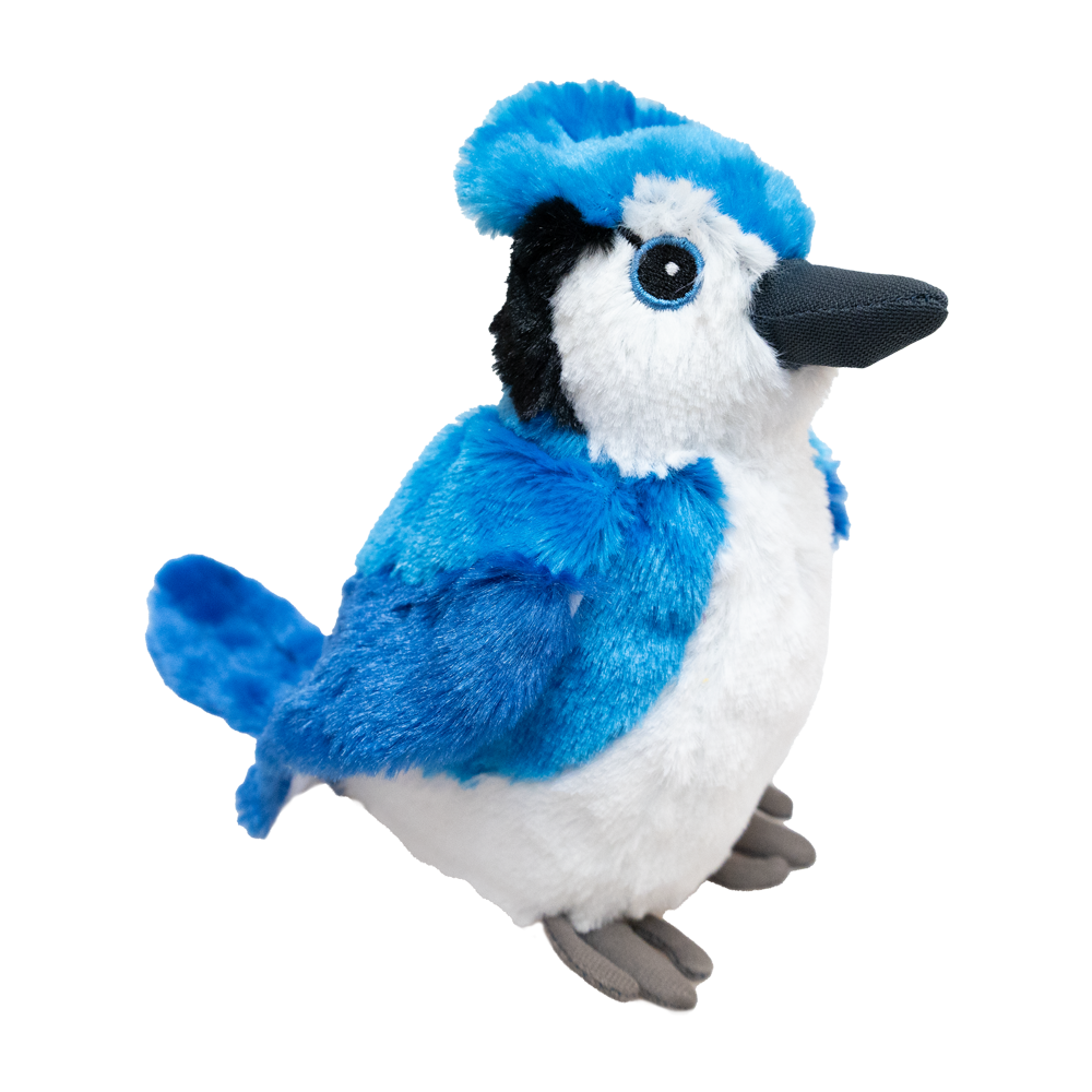 Blue Jay 7" - 30900