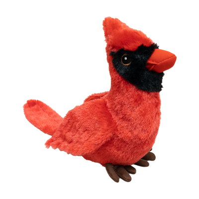 Cardinal 7" - 30902