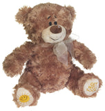 Little William Bear 8"- 50978